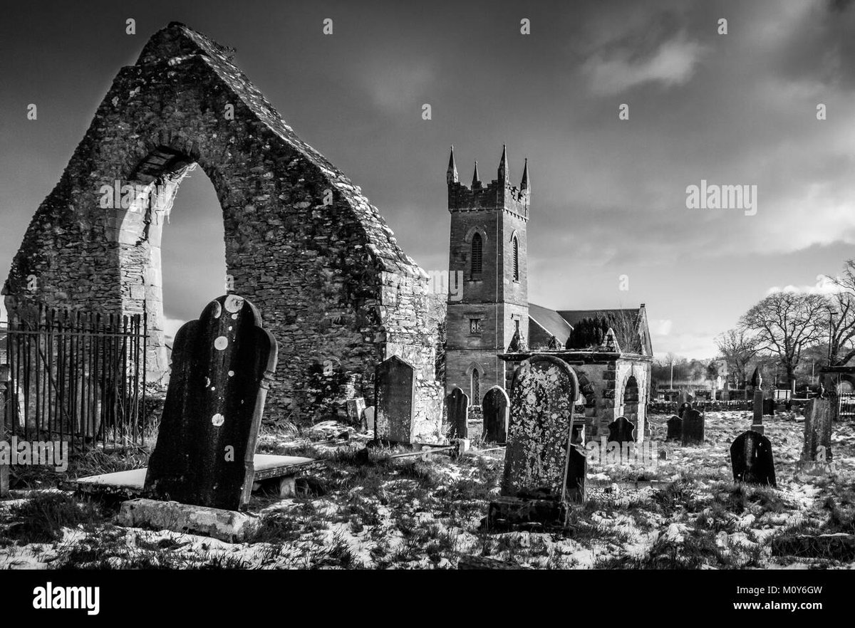 Yor Forger Is From Spy x Family, Not Reincarnated As A Slime